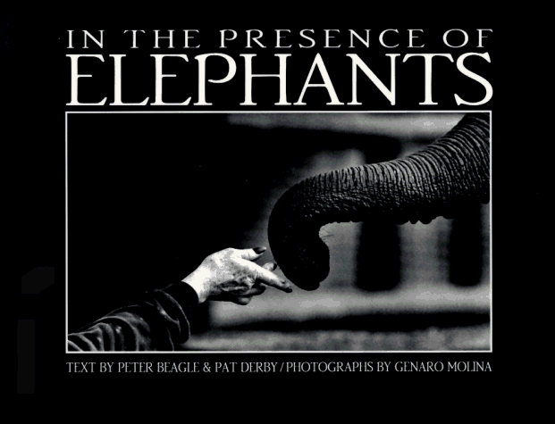 In the Presence of Elephants